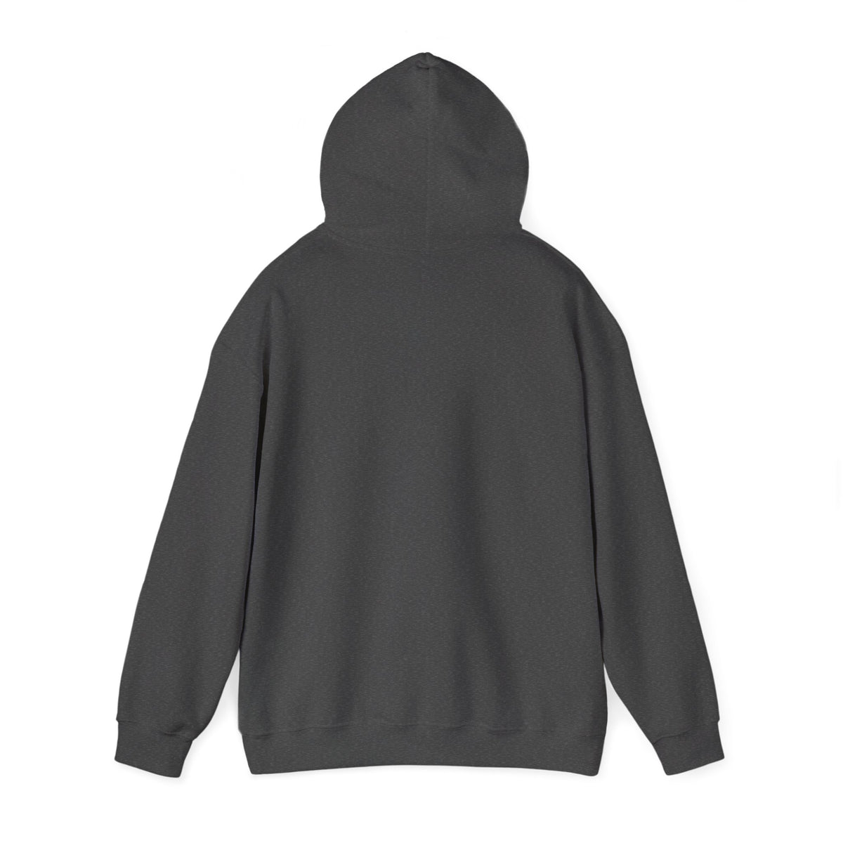 The Forever Open Storm Hoodie